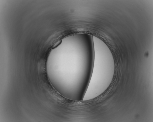 X0000090920421200707301058