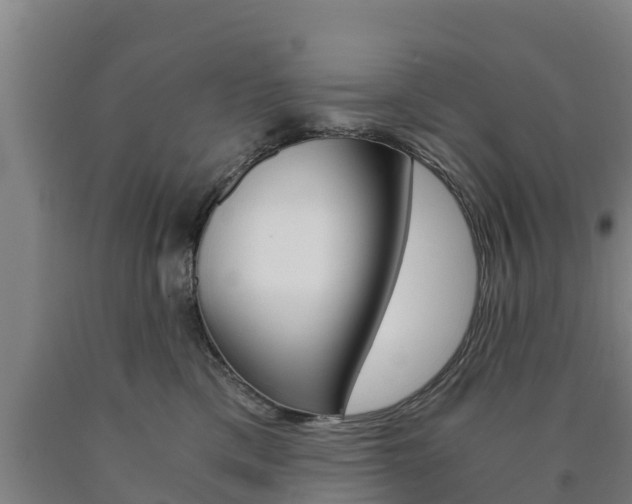 X0000090920425200707301058