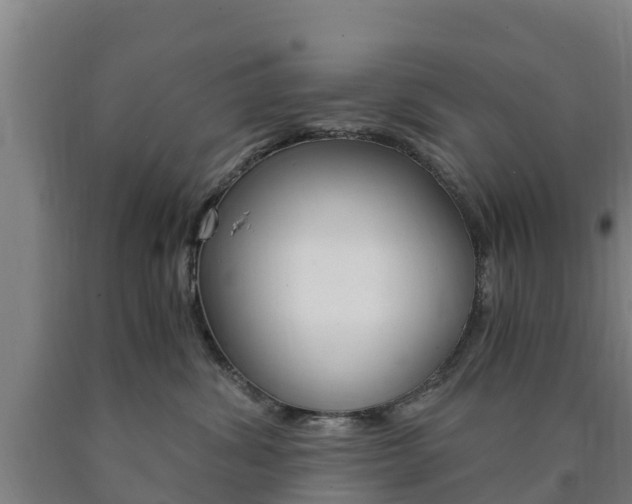 X0000090920428200707301058