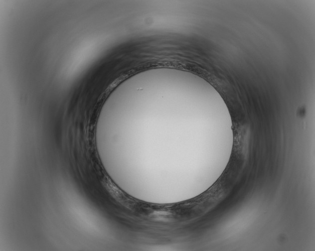 X0000090920430200707301057