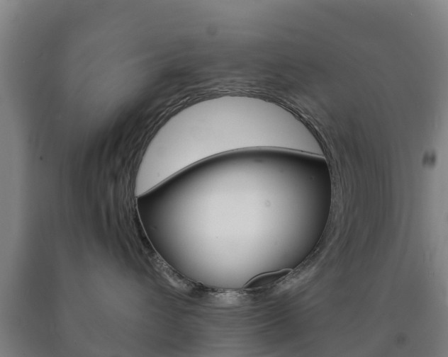 X0000090920432200707301057
