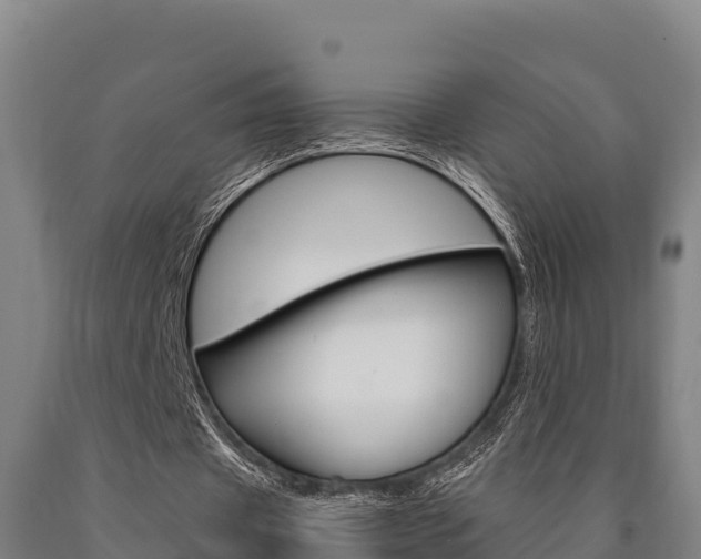 X0000090920433200707301057