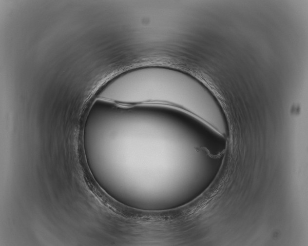 X0000090920434200707301057
