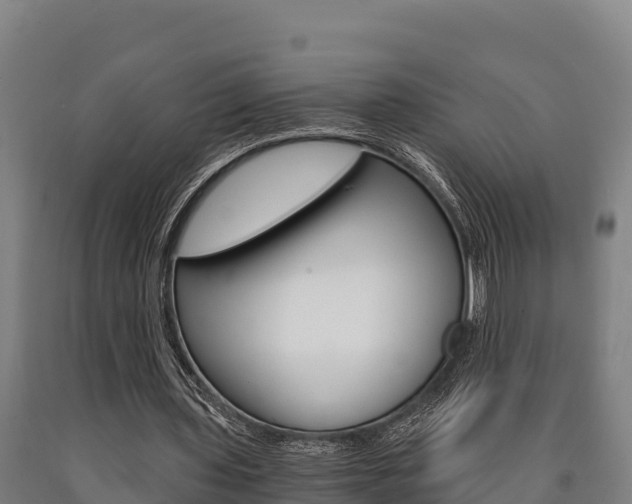 X0000090920435200707301057