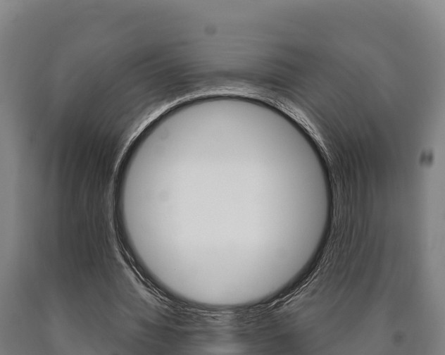 X0000090920436200707301057