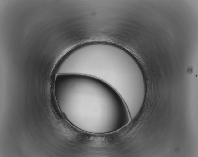 X0000090920440200707301057
