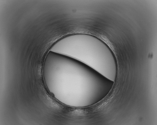 X0000090920441200707301057