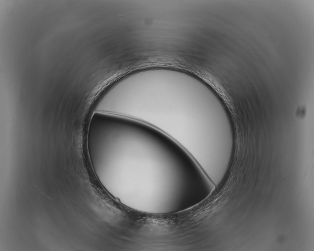 X0000090920442200707301057