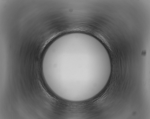 X0000090920444200707301057