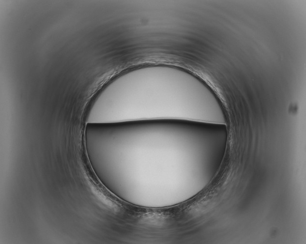 X0000090920445200707301057