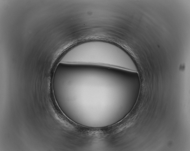 X0000090920446200707301057