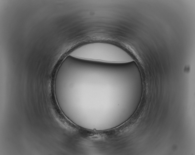 X0000090920447200707301057