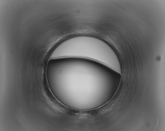 X0000090920448200707301057