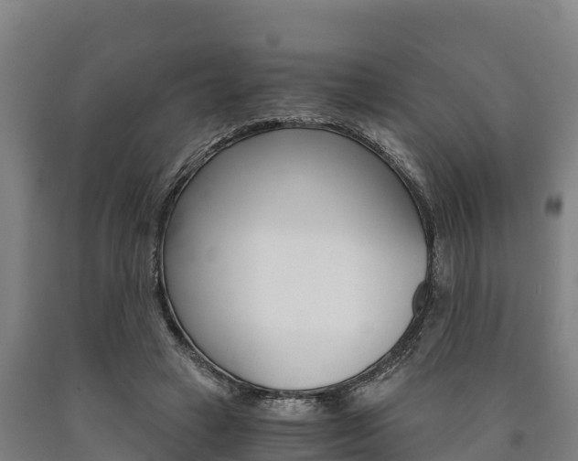 X0000090920449200707301057