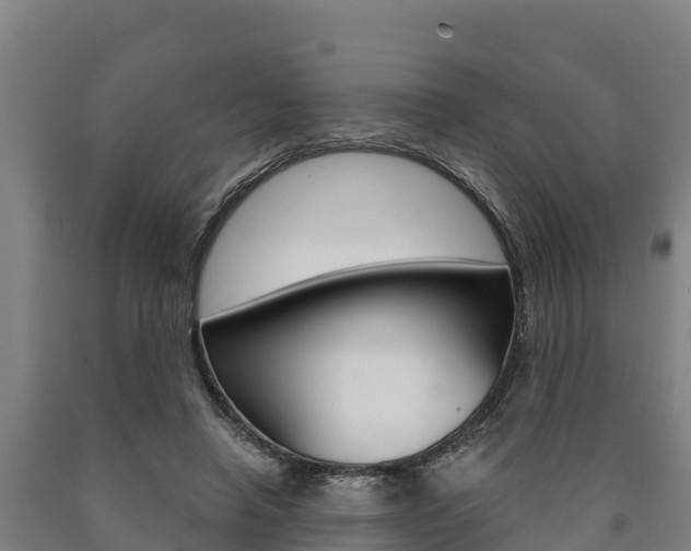 X0000090920450200707301057