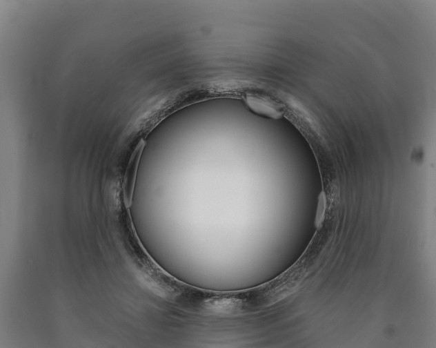 X0000090920452200707301057