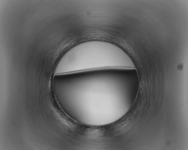 X0000090920454200707301057