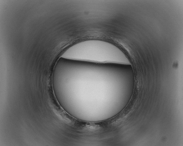 X0000090920455200707301057