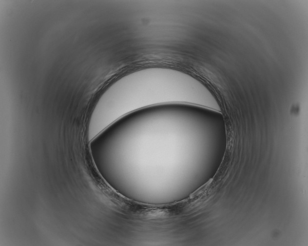 X0000090920456200707301057