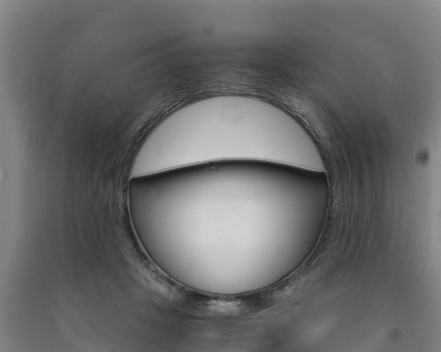 X0000090920457200707301057