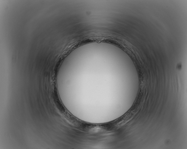 X0000090920460200707301057