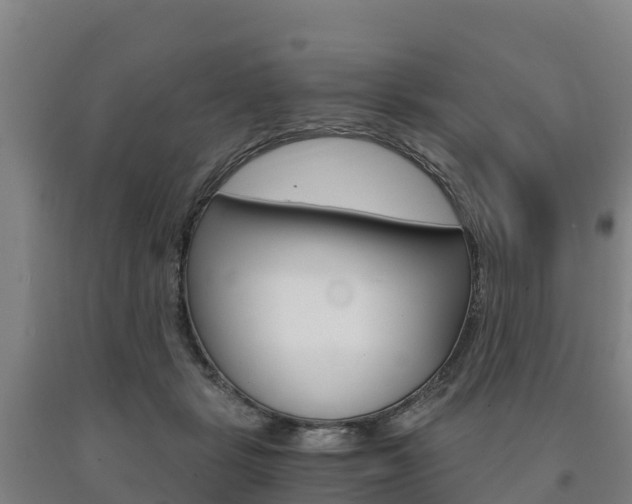 X0000090920461200707301057