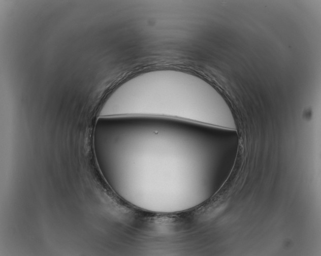 X0000090920462200707301057