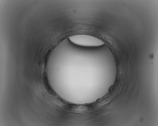 X0000090920463200707301057