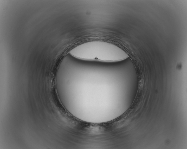 X0000090920464200707301057