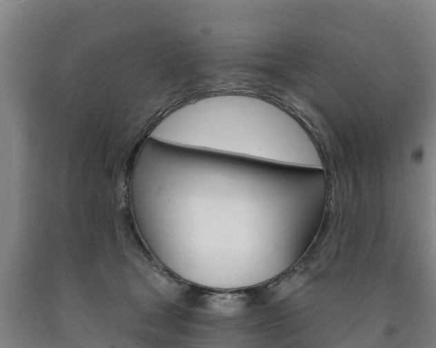 X0000090920465200707301057