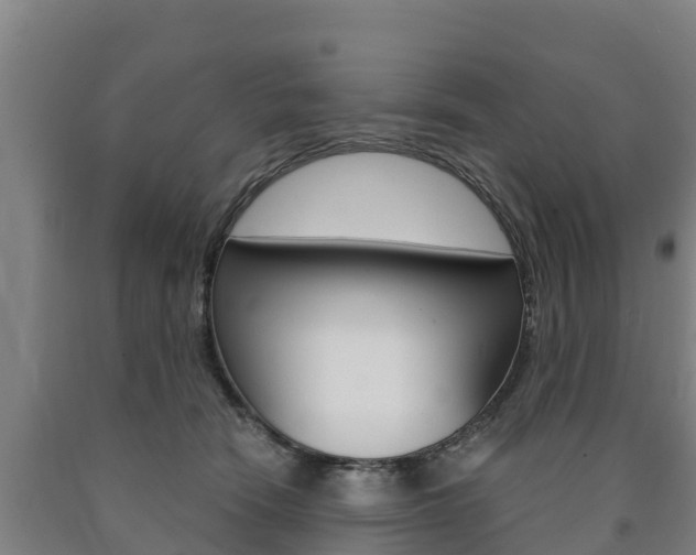 X0000090920466200707301057