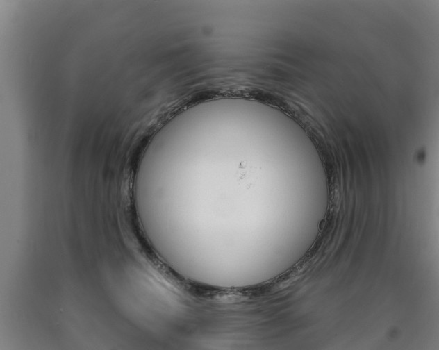 X0000090920468200707301057