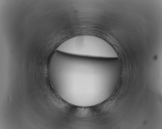 X0000090920469200707301057