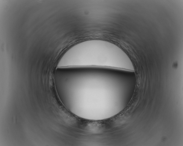 X0000090920470200707301057