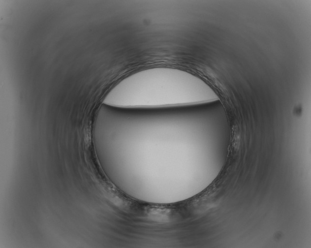 X0000090920471200707301057