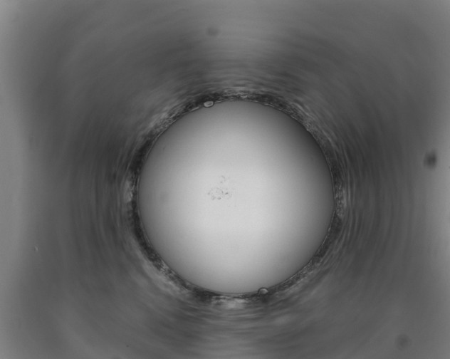 X0000090920472200707301057