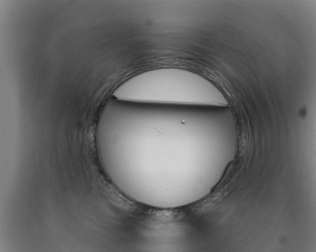X0000090920473200707301057