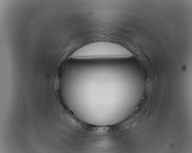 X0000090920474200707301057
