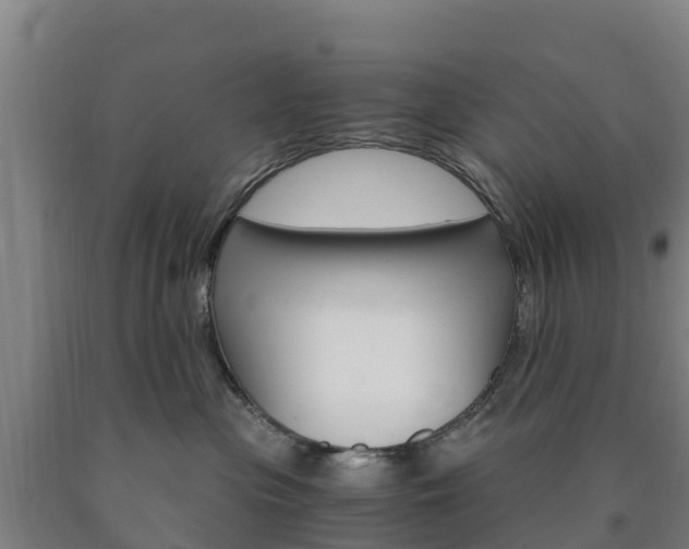 X0000090920477200707301057