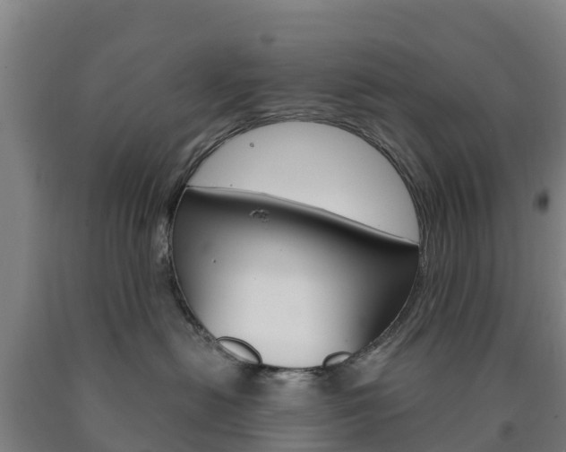 X0000090920478200707301057