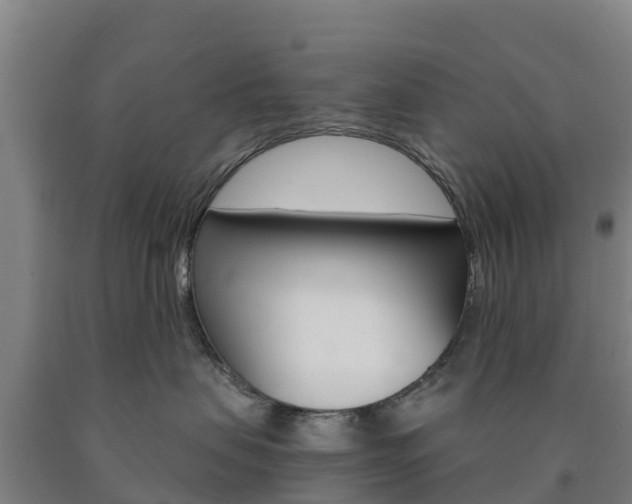 X0000090920479200707301057