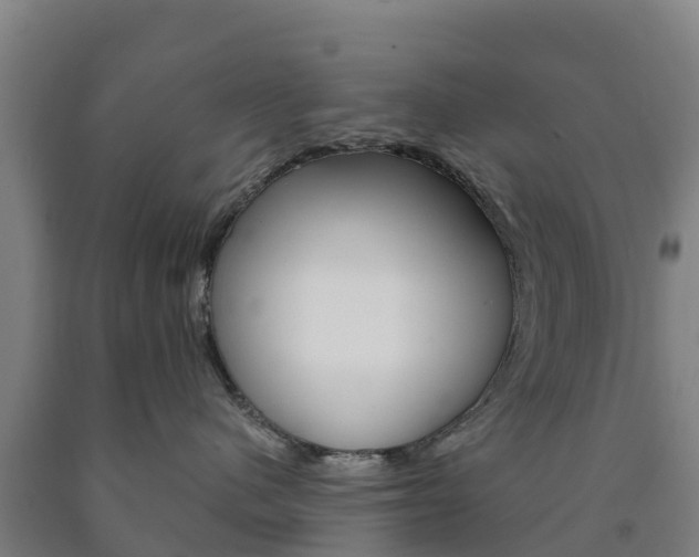 X0000090920480200707301057