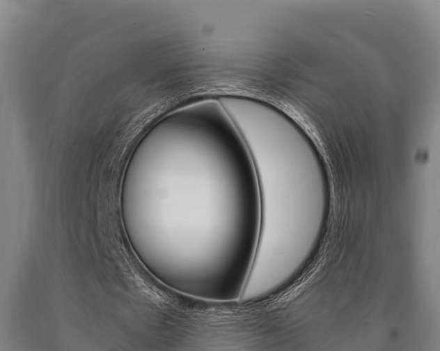 X0000090920481200707301057
