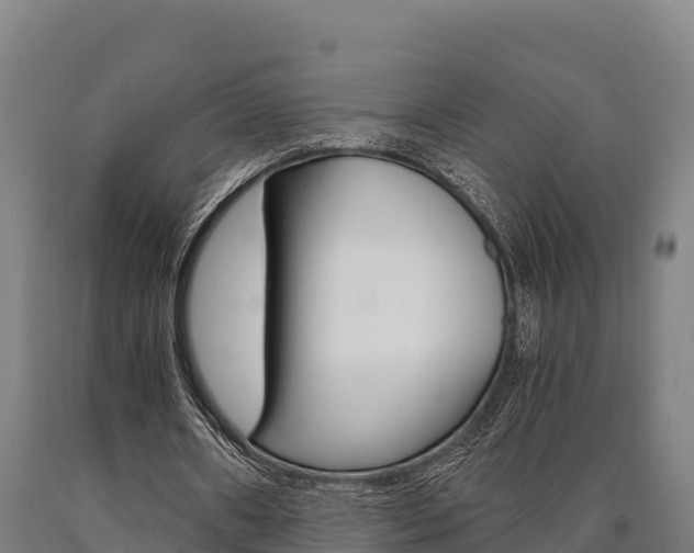X0000090920482200707301057