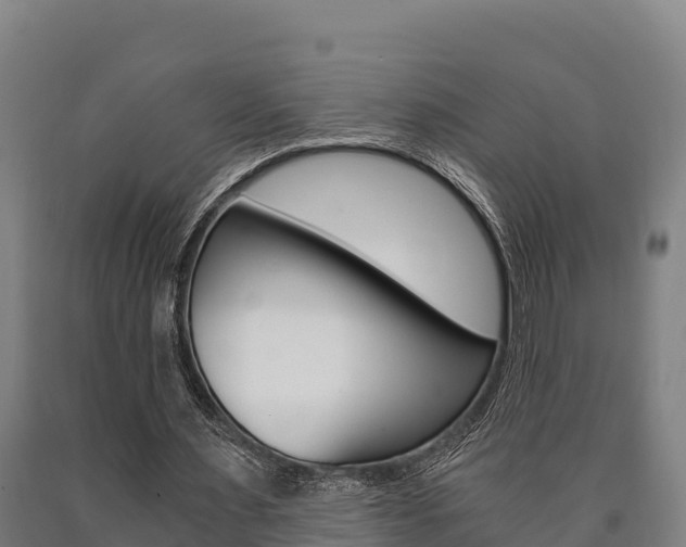 X0000090920483200707301057