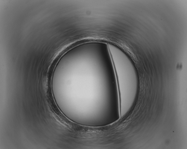 X0000090920484200707301057