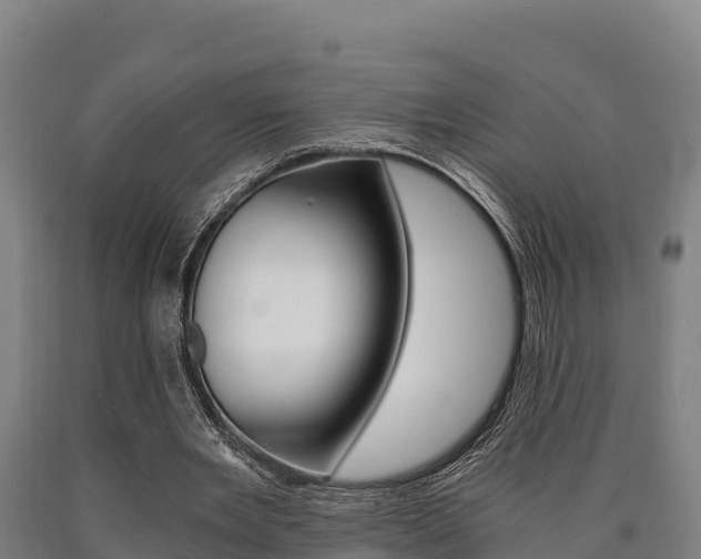 X0000090920485200707301057