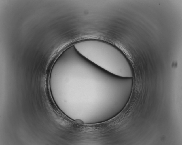 X0000090920486200707301057