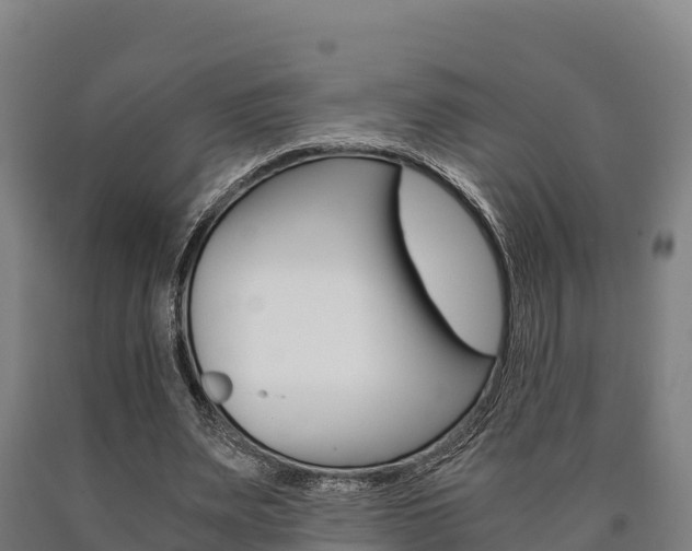 X0000090920487200707301057