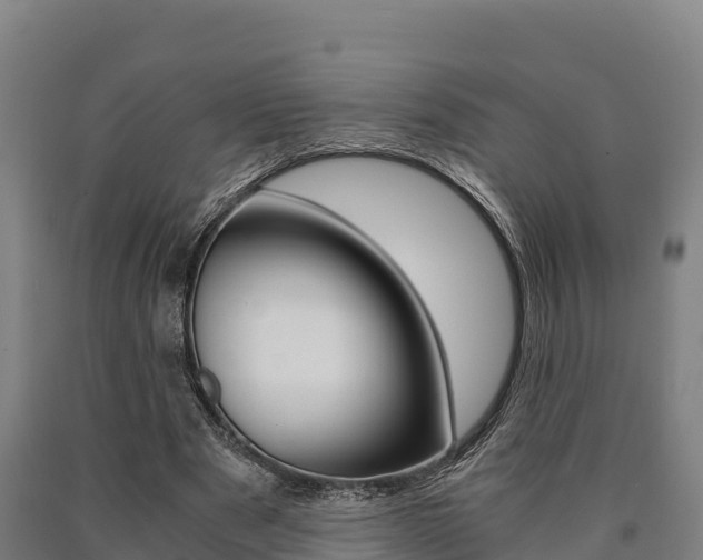 X0000090920489200707301057